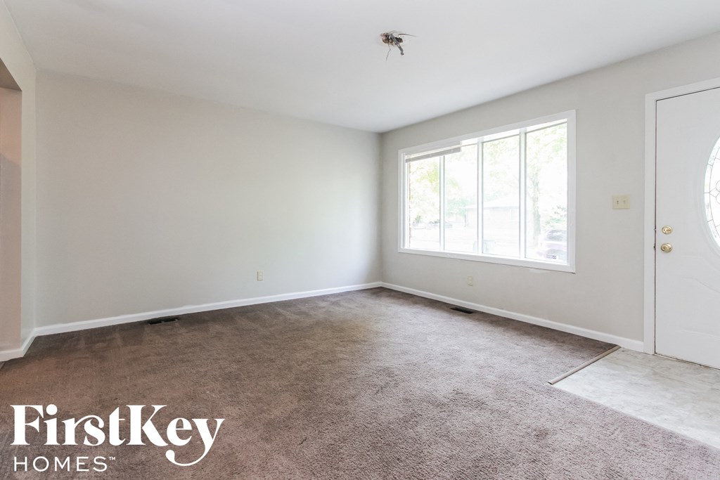 a bedroom with a carpeted floor and a large window
