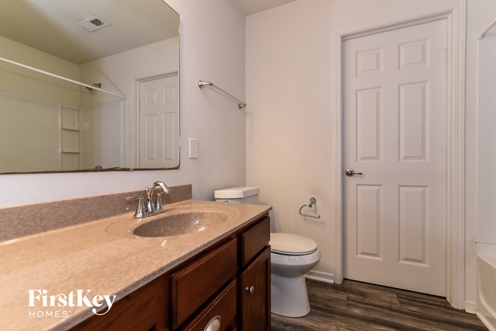 a bathroom with a sink and a toilet and a mirror