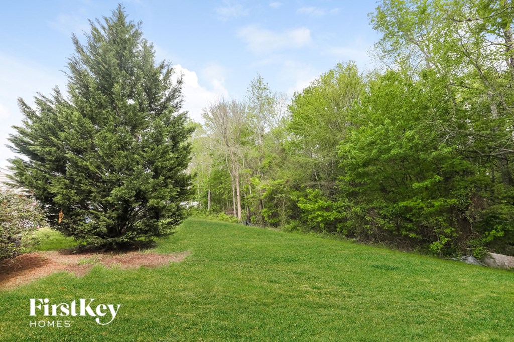 A grassy area with trees and a FirstKey Homes logo.
