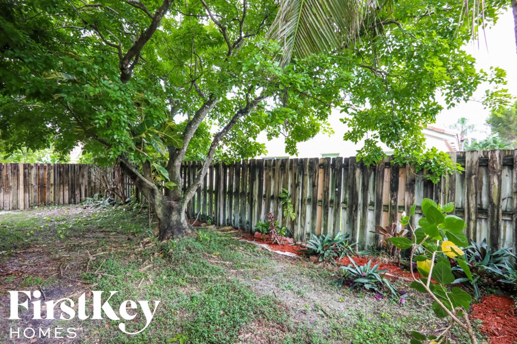 a backyard with a tree and a wooden fence