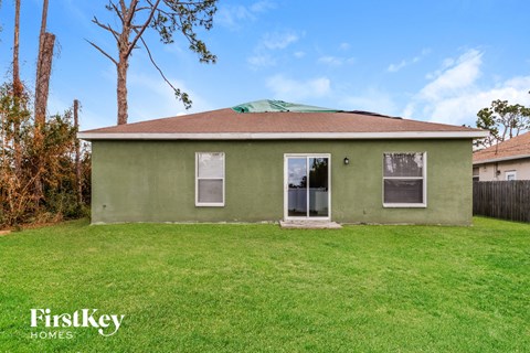 a green house with a grassy yard and a tree