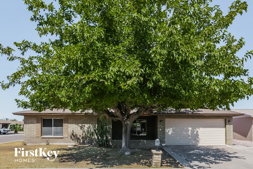 a house with a tree in front of it