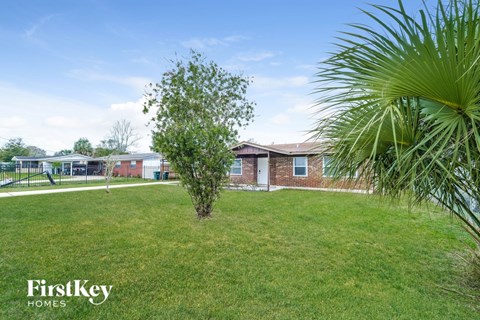 a house with a yard and a palm tree