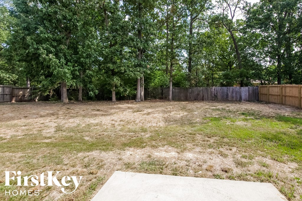the backyard has a lot of grass and trees