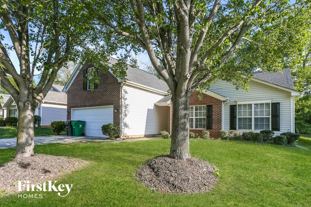 a large tree in the front yard of a house