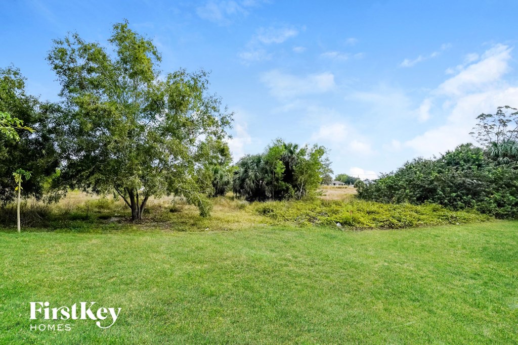 A lush green field with trees and a clear blue sky.