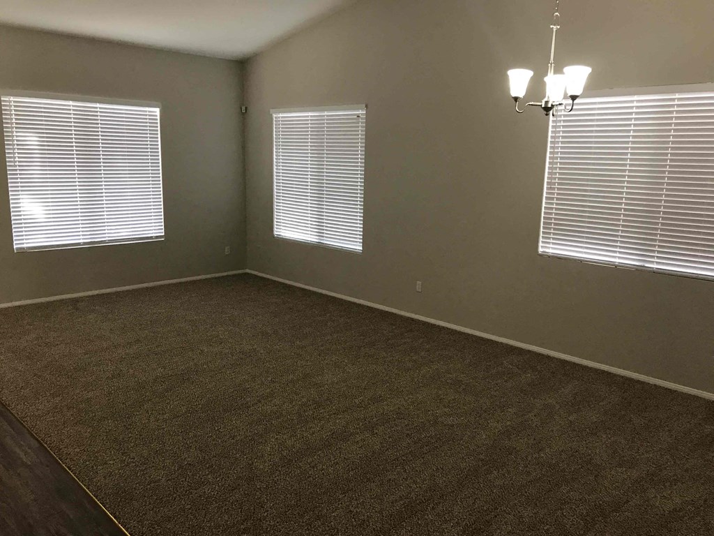 A room with carpeted floor and two windows with blinds.