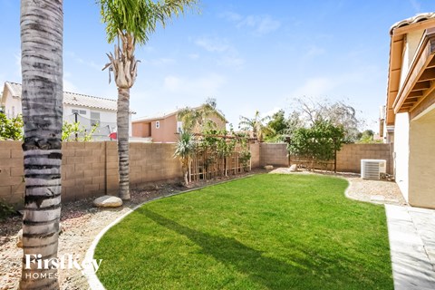 a backyard with a grass lawn and palm trees