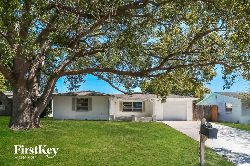 a white house with a large tree in front of it