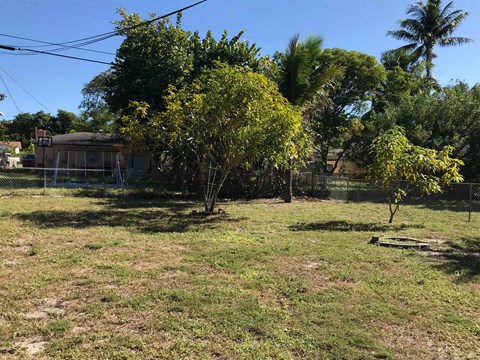A tree in a yard with a house in the background.