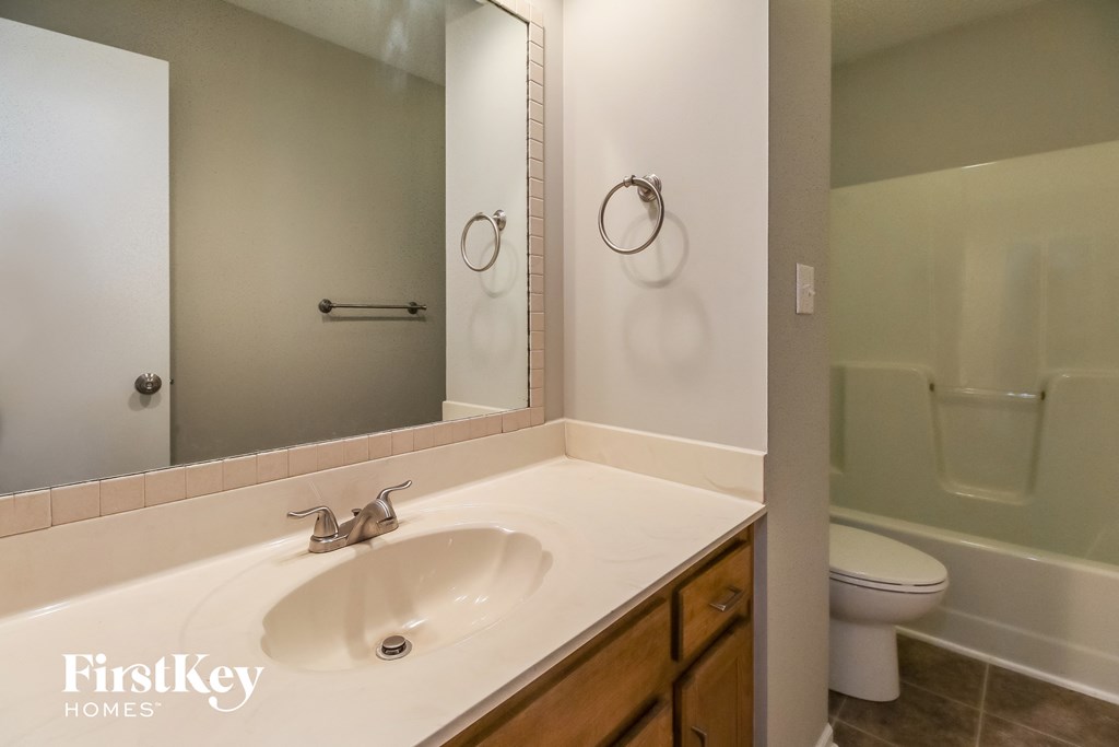 a bathroom with a sink and a mirror and a toilet