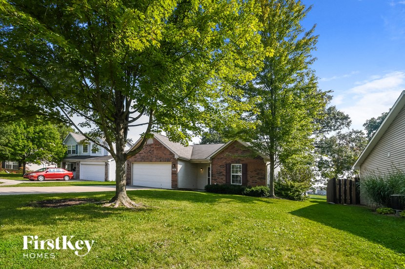 a home with a large tree in the front yard