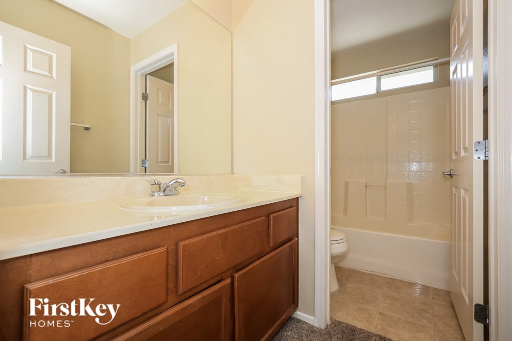 a bathroom with a sink and a shower and a mirror