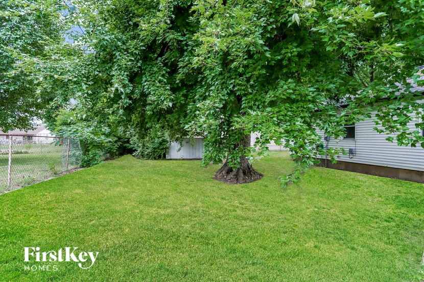 A tree with a thick trunk and lush green leaves is the focal point of the image.