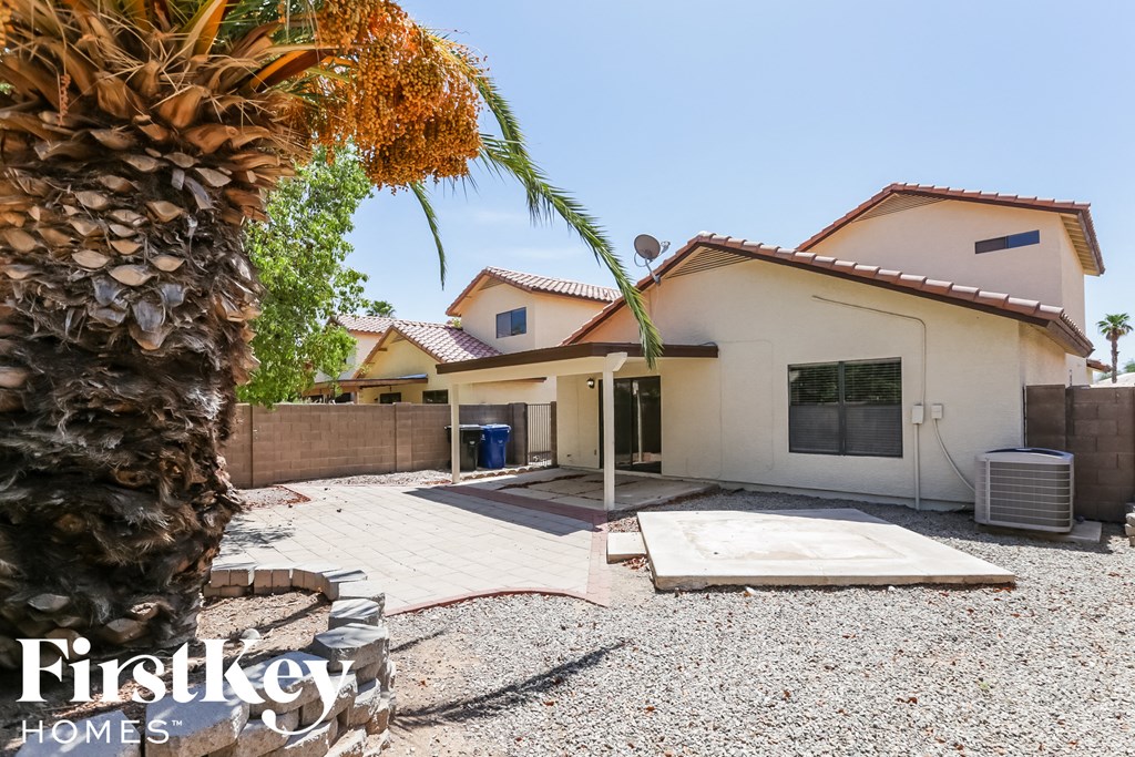 a backyard with a palm tree and a white house