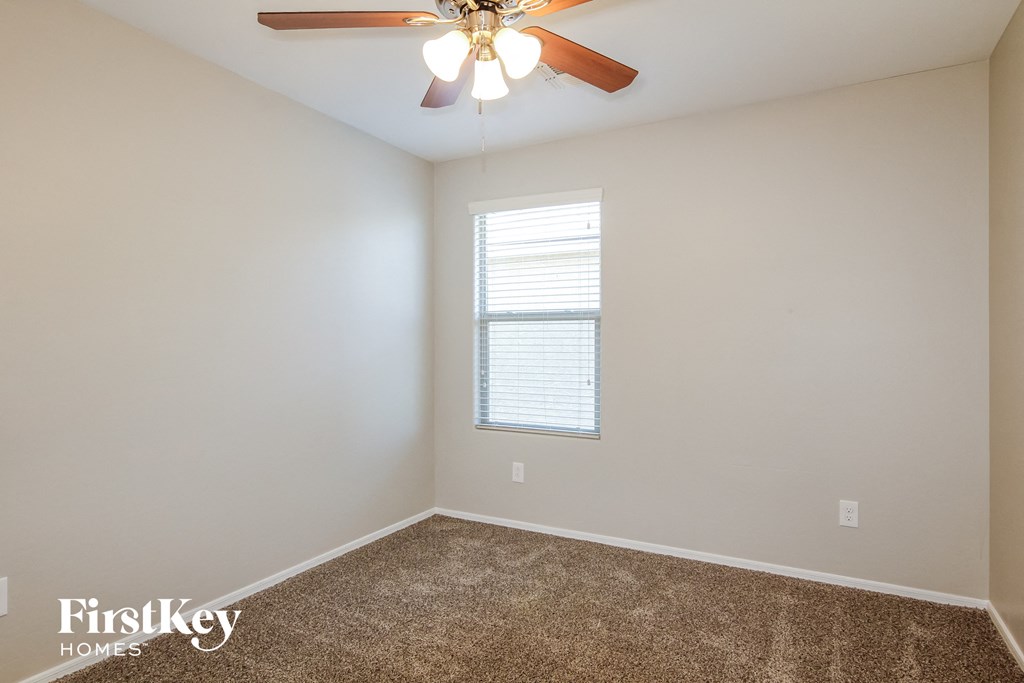 A room with a carpeted floor and a ceiling fan.