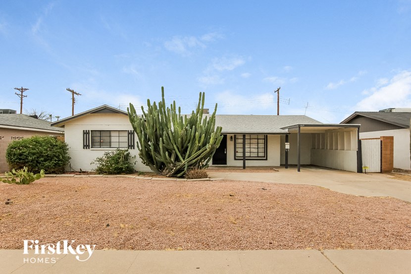 a house with a large cactus in front of it