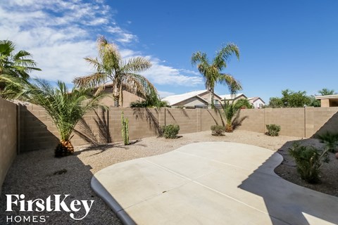 a fisheye view of a yard with palm trees