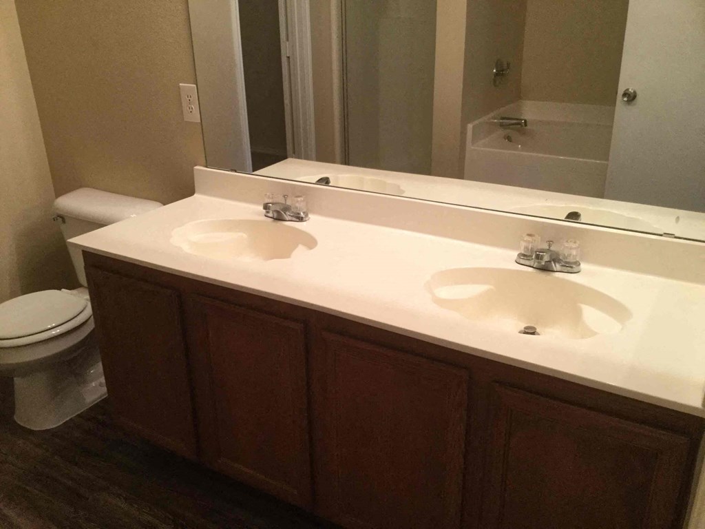 a bathroom with a sink and a toilet and a mirror
