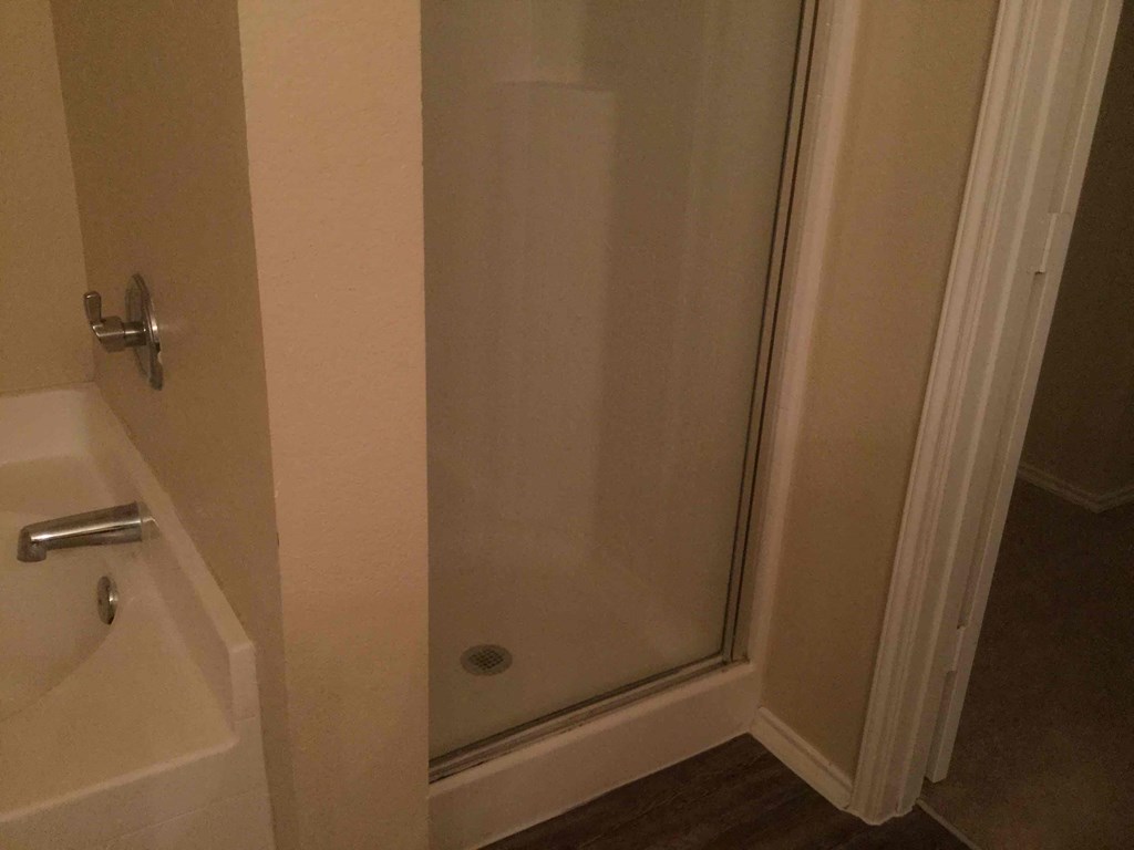 a bathroom with a shower and a sink