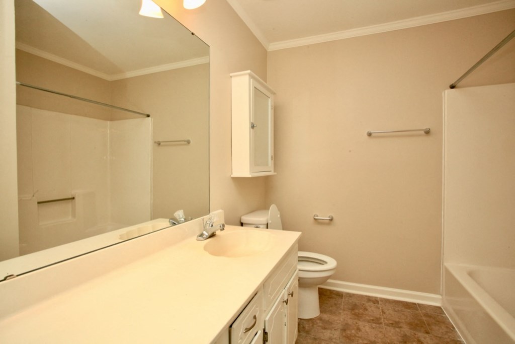 a bathroom with a sink and a toilet and a mirror
