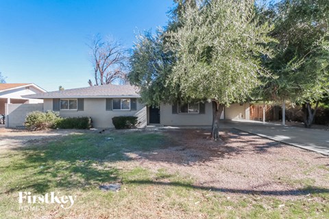 a white house with a large tree in front of it