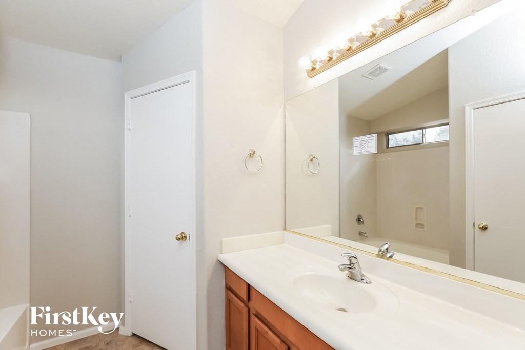a bathroom with a sink and a large mirror