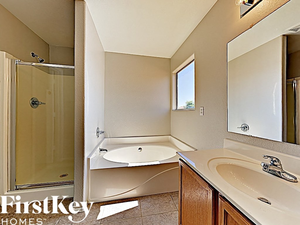 a bathroom with a sink and a shower and a mirror