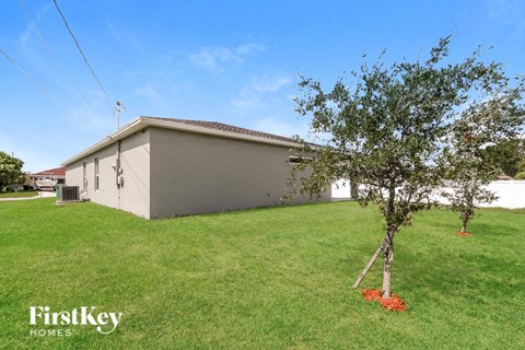 a house with a small tree in the grass