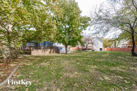 A backyard with a lawn and trees.