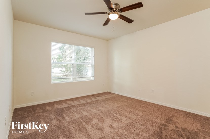 A room with a carpeted floor and a ceiling fan.