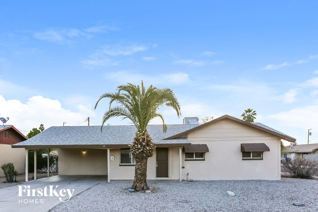 A house with a palm tree in front of it.