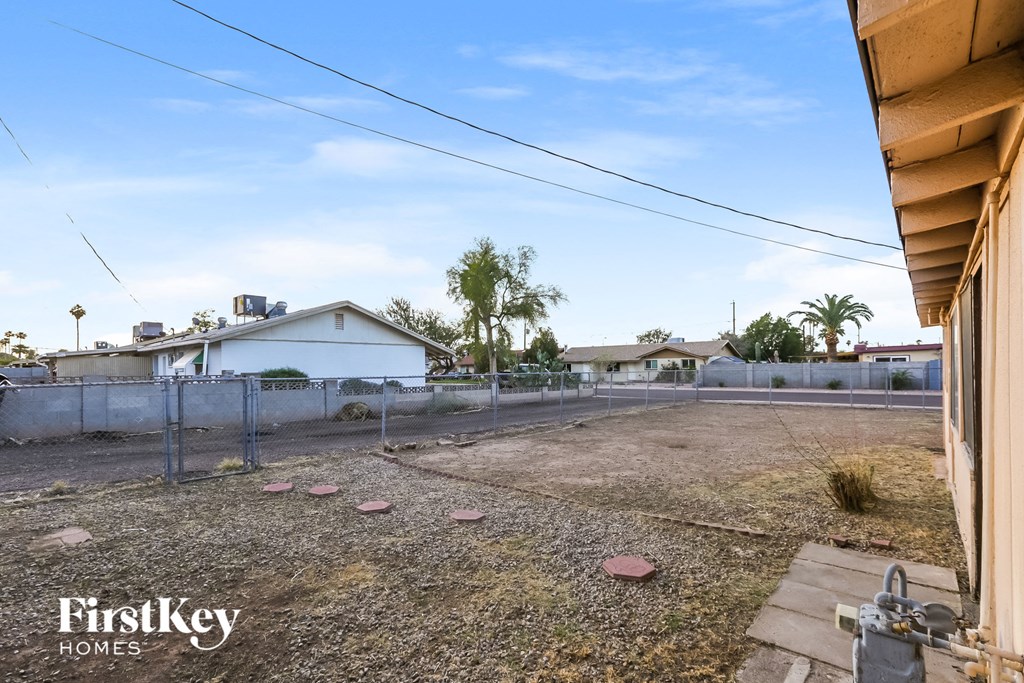 A backyard with a fence and a small tree.