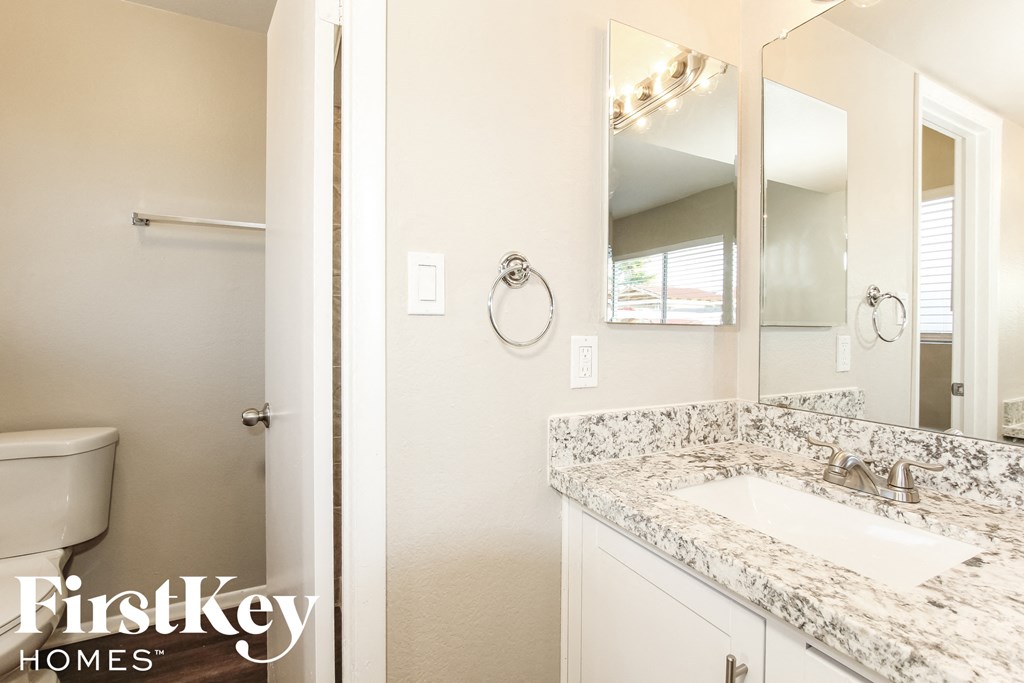 a bathroom with a sink and a toilet and a mirror