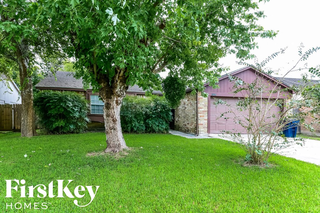 a backyard with a tree and a pink garage