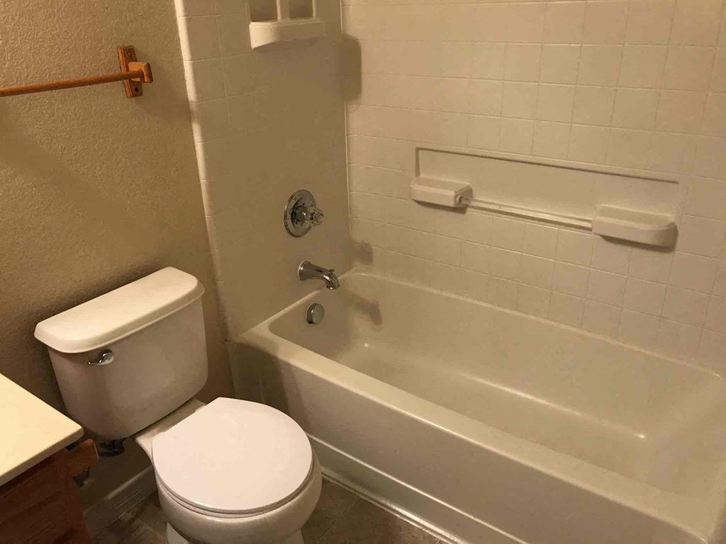 a bathroom with a toilet and a bath tub