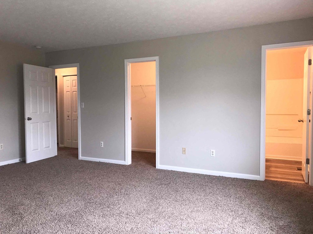 a living room with gray walls and a carpeted floor
