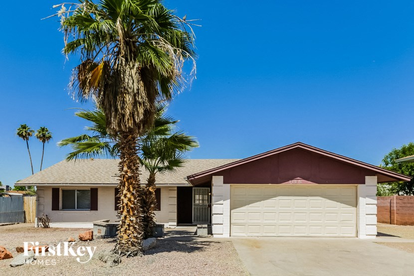 a house with a palm tree in front of it