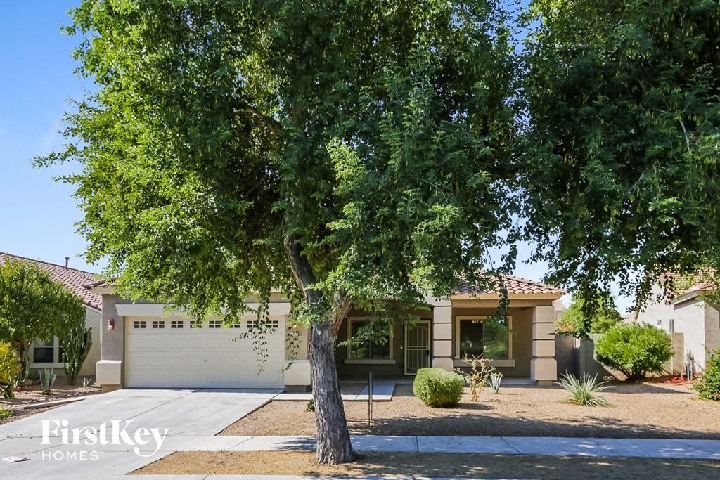 a tree in front of a house with a garage door