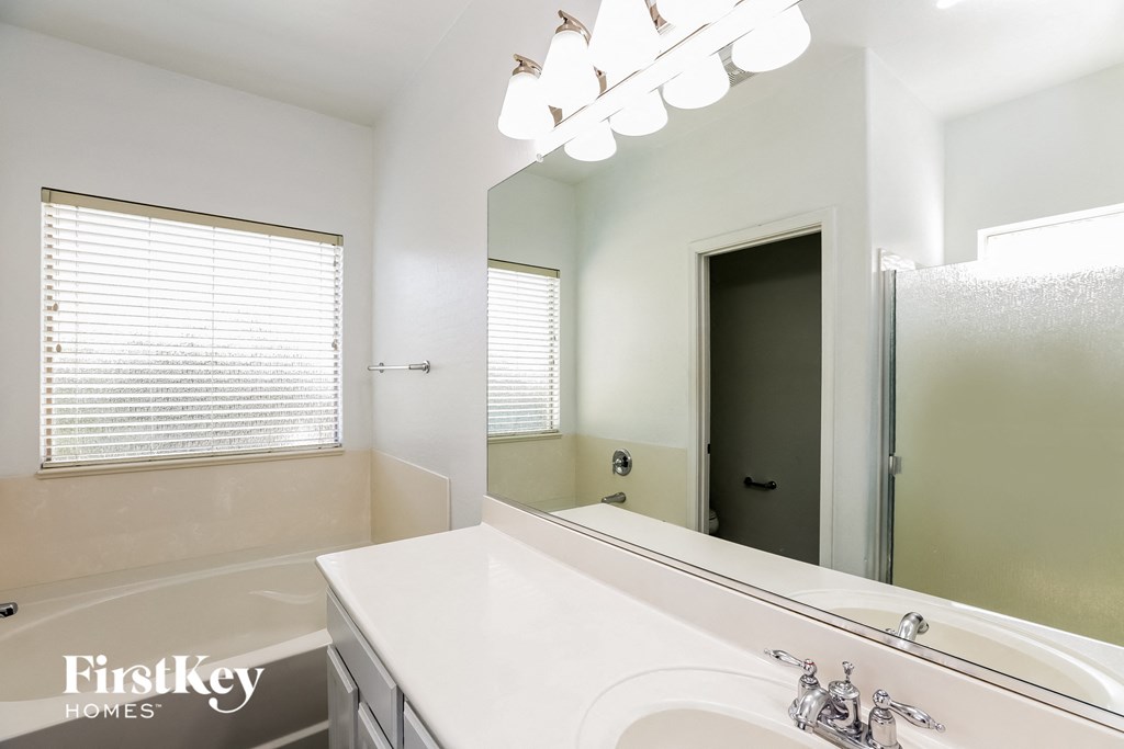 a bathroom with a sink and a mirror and a shower