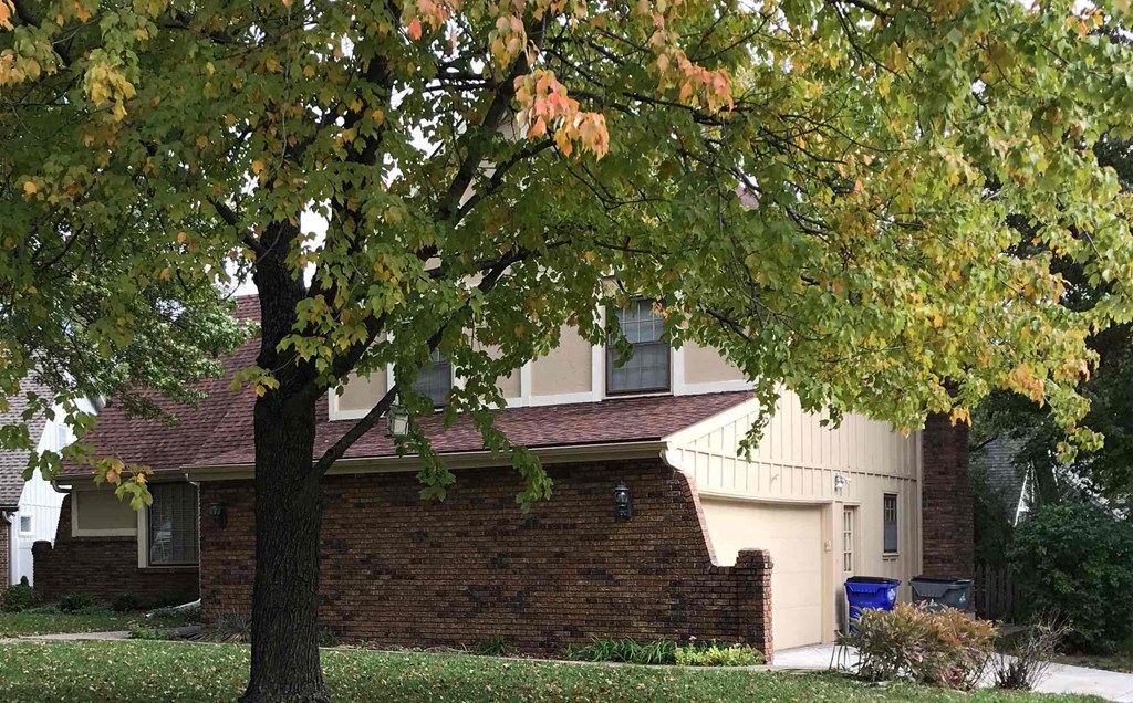 A tree with green and yellow leaves in front of a house.
