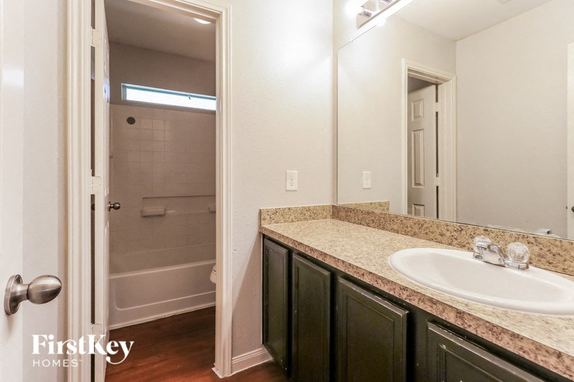 a bathroom with a sink and a shower and a mirror