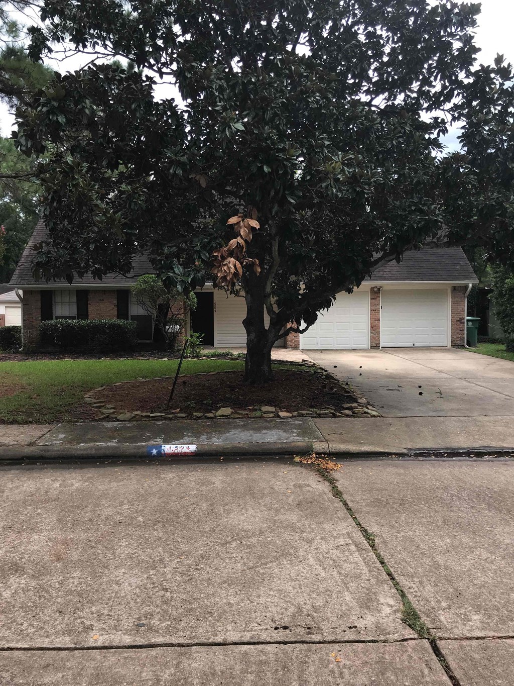 A tree in front of a house with a white garage door.