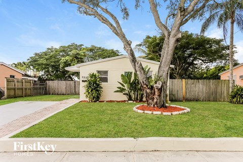 a backyard with a tree and a small house