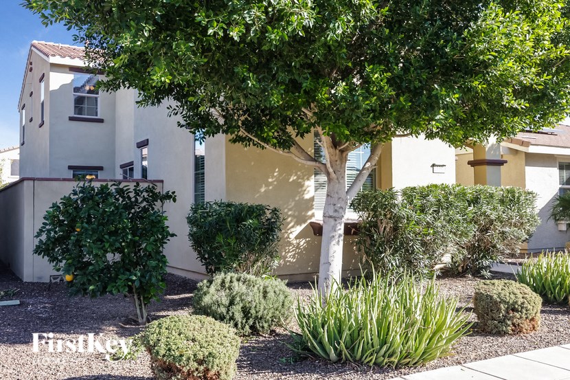a garden with trees and plants in front of a building