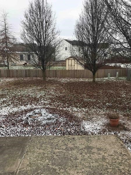 A backyard with a fence and two trees.