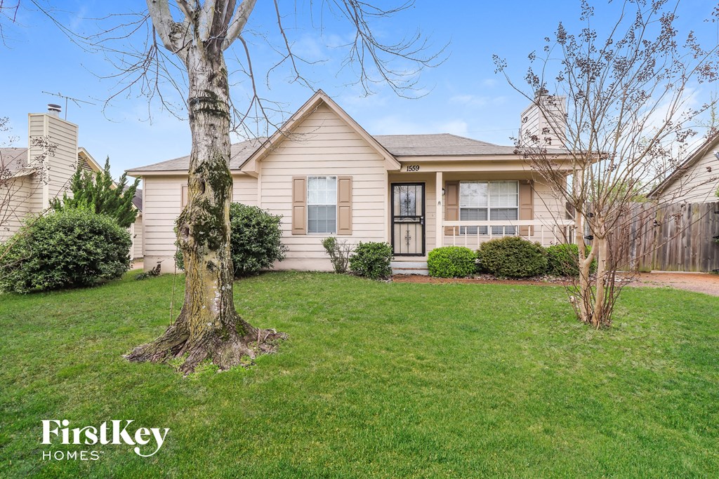 a home with a lawn and a tree in front of it