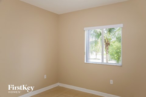 A room with a window showing a view of trees and a palm tree.