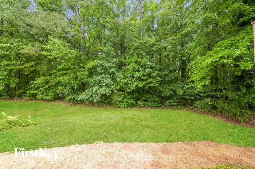 A lush green forest with a grassy area in the foreground.