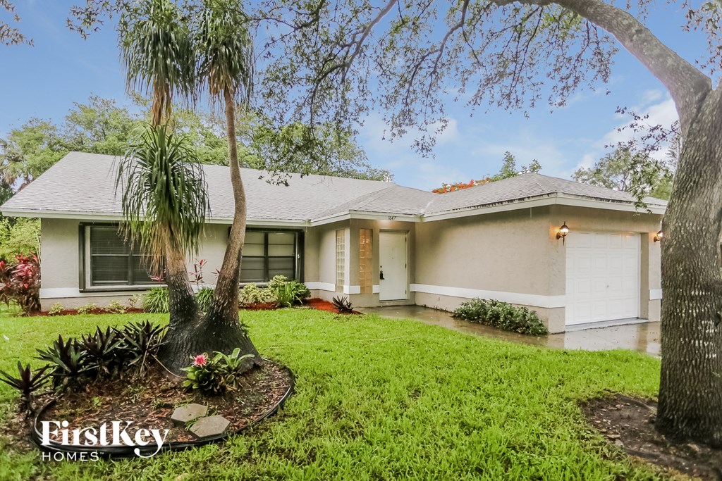 a home with a lawn and palm tree